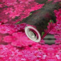 Load image into Gallery viewer, PlushLuxe Interiors- Wall Coverings Collection