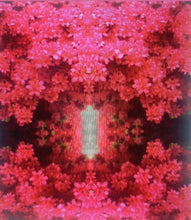 Load image into Gallery viewer, PlushLuxe Interiors- Wall Coverings Collection